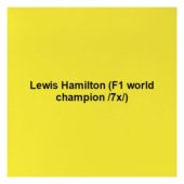Lewis Hamilton (F1 world champion /7x/)