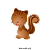 Écureuil (m)