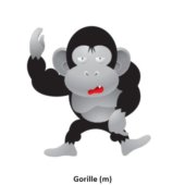 Gorille (m)