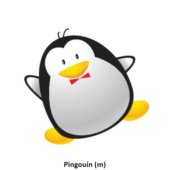 Pingouin (m)
