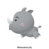 Rhinocéros (m)