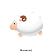 Mouton (m)