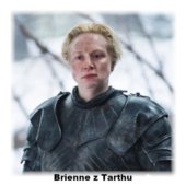 Brienne z Tarthu