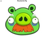 Moustache Pig