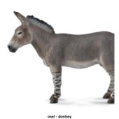 osel - donkey