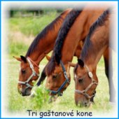 Tri gaštanové kone