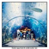 Dubai aquarium & underwater zoo
