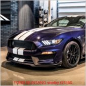 FORD MUSTANG shelby GT350
