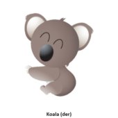 Koala (der) 