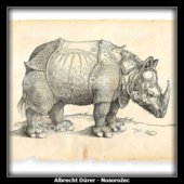Albrecht Dürer - Nosorožec