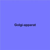 Golgi-apparat