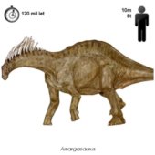 Amargasaurus