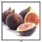 a fig