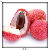 a lychee