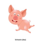 Schwein (das)