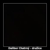 Dalibor Chatrný - družice