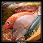 Ryby-Bílkoviny
