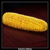Kukuřice-Obilniny