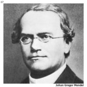 Johan Gregor Mendel